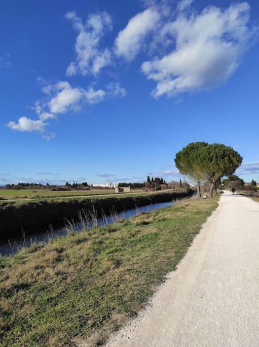 Mobil-Home Dans Un Beau Cadre A 15 Km Des Plages. Lunel  Luaran gambar